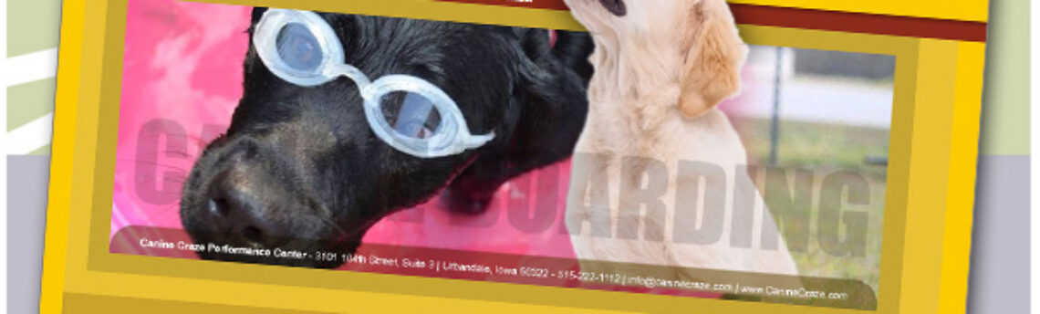 Website Redesign – Finding Opportunities Where You Least Expect Them